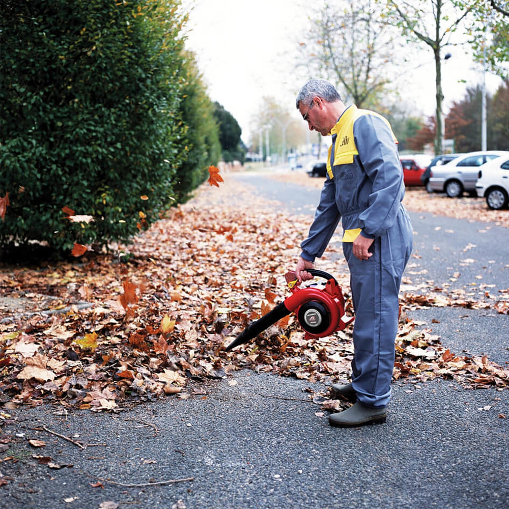Honda HHB 25 petrol leaf blower