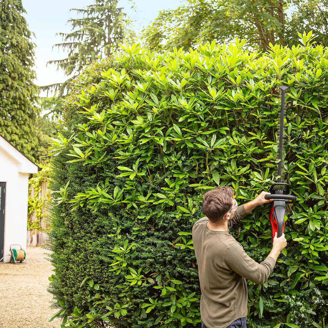 Honda 36V cordless hedgetrimmer 65cm
