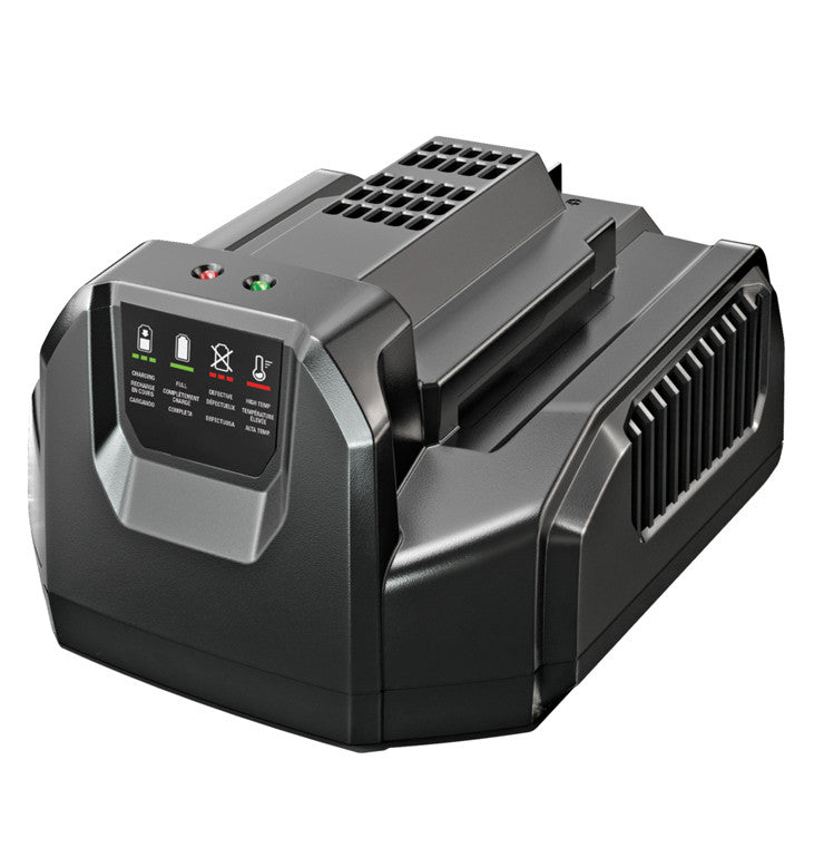 ego CH2100E Standard Charger