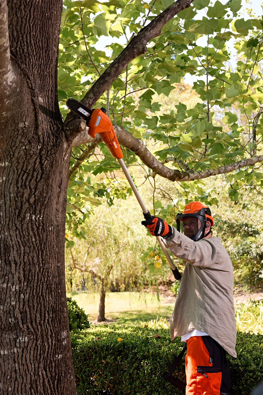 Echo DPPF - 310 Battery Pole Pruner - Chainsaws - Country Mower Centre