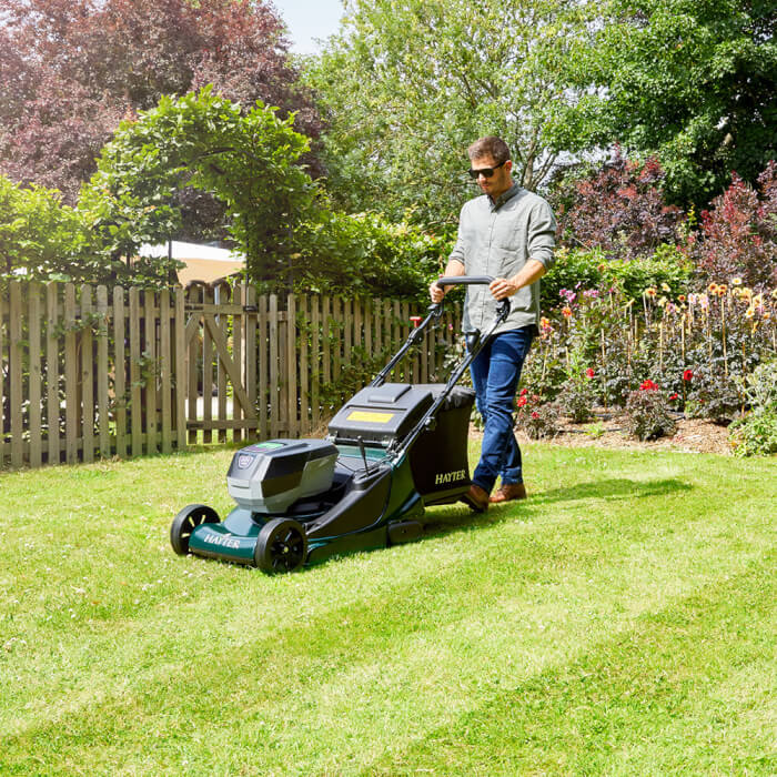 Hayter Harrier 48 Cordless Variable Speed Rear Roller 60V Battery Mower - Lawn Mowers - Country Mower Centre
