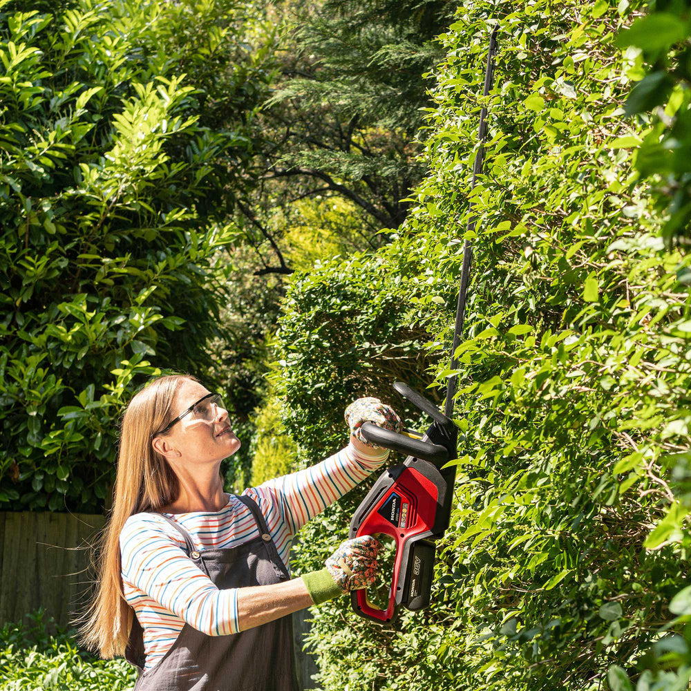 Honda Cordless Hedgetrimmer 65cm (36V Brushless) - Hedge Cutters - Country Mower Centre