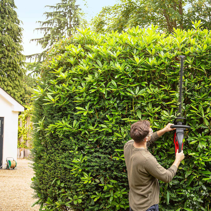 Honda Cordless Hedgetrimmer 65cm (36V Brushless) - Hedge Cutters - Country Mower Centre