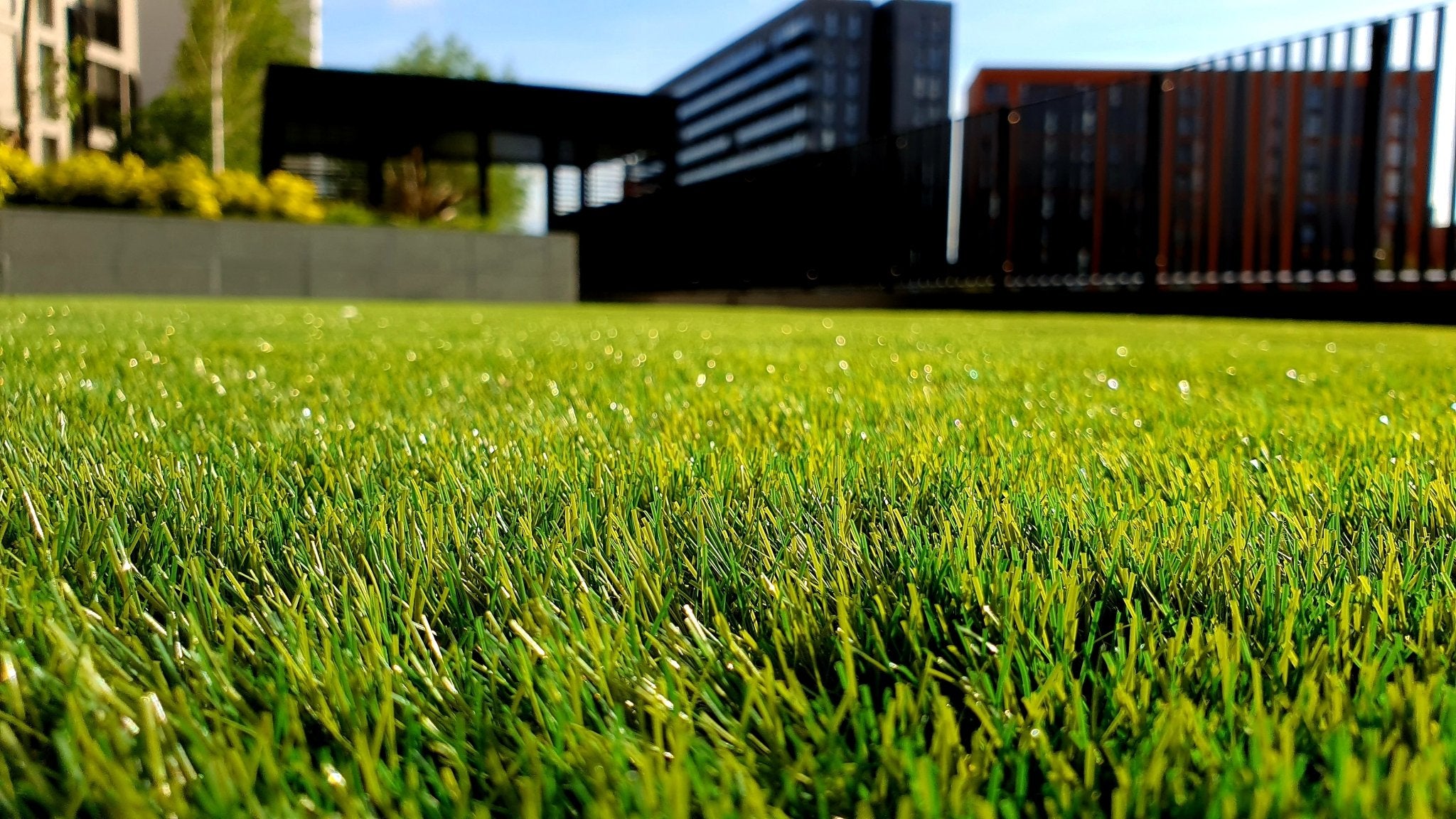 Create the perfect lawn with Country Mower Centre