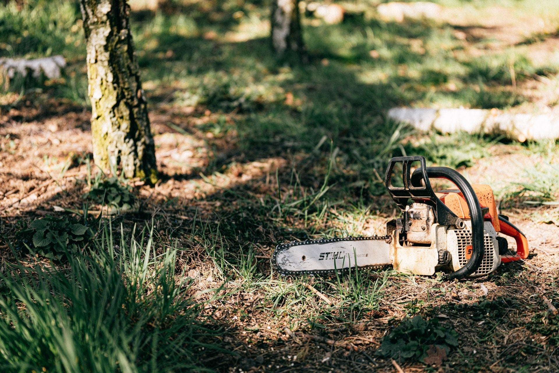 Stihl chainsaw on the ground in a forest setting