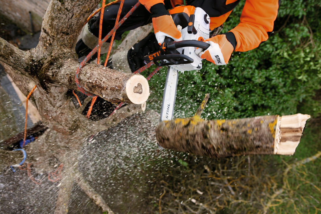 Stihl MS 201 TC-M Petrol Chainsaw - Chainsaws - Country Mower Centre